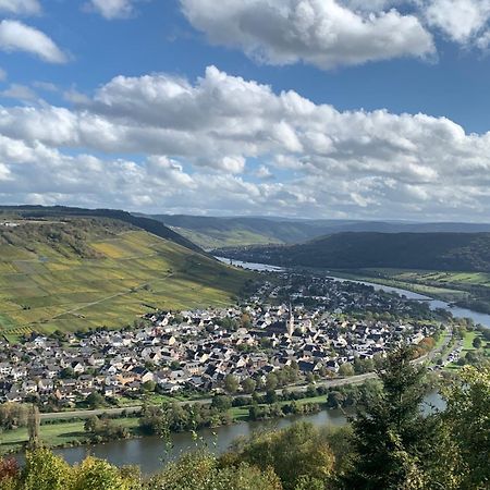Weinhof Michael Morbach Otel Zeltingen-Rachtig Dış mekan fotoğraf