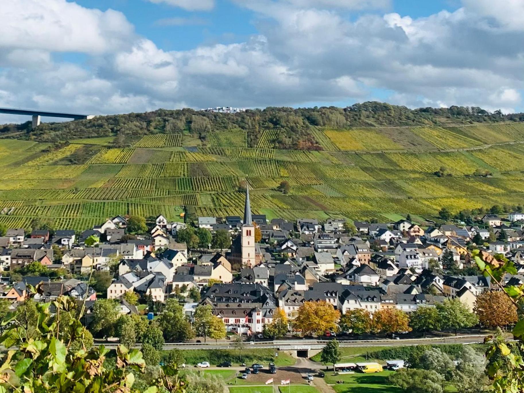 Weinhof Michael Morbach Otel Zeltingen-Rachtig Dış mekan fotoğraf