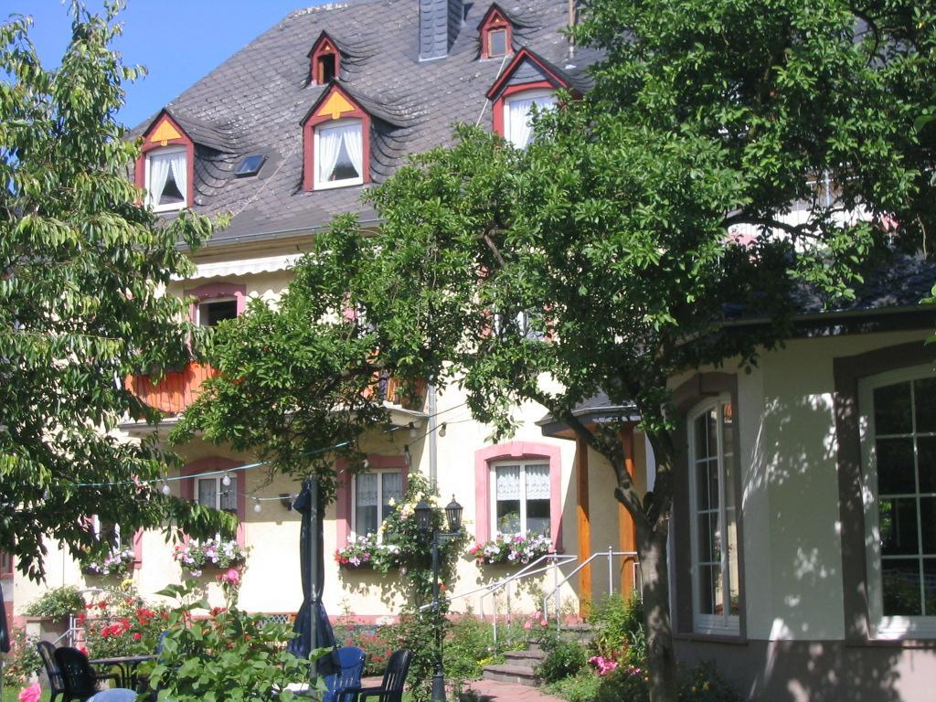 Weinhof Michael Morbach Otel Zeltingen-Rachtig Dış mekan fotoğraf